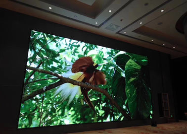 Schermo di visualizzazione dell'interno del LED della sala riunioni, video tabellone del LED 220/110V fornitore