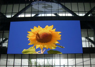 Schermo dell'interno, video schermo del pannello di colore pieno P5 LED della parete del LED 2 anni di garanzia fornitore